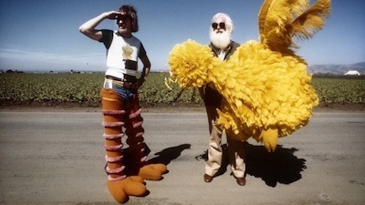 LAFF - i am big bird