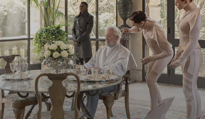 mockingjay - 12