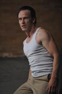 stephen moyer - the double