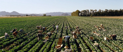 mcfarland usa - 7