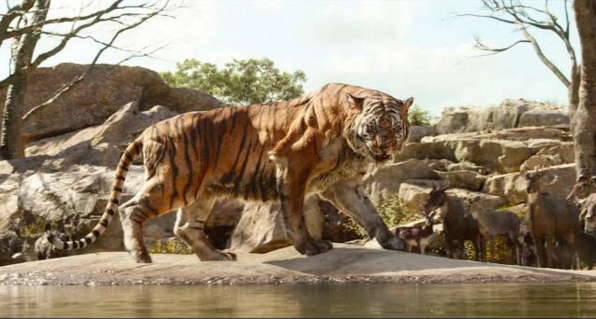 the jungle book - meet shere khan