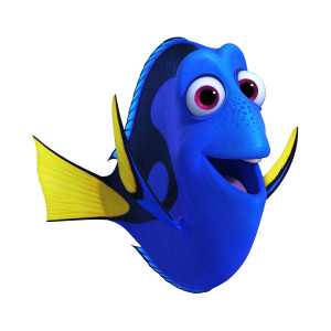 DORY