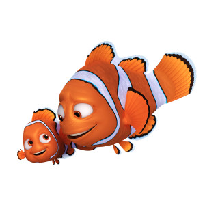 Nemo and Marlin 